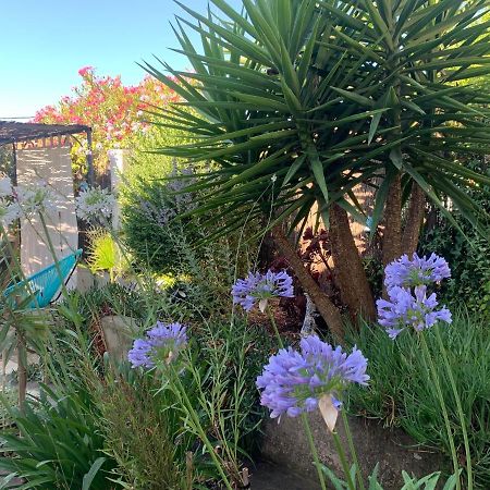 Au pied du Baou avec jardin privé Appartamento Tolone Esterno foto