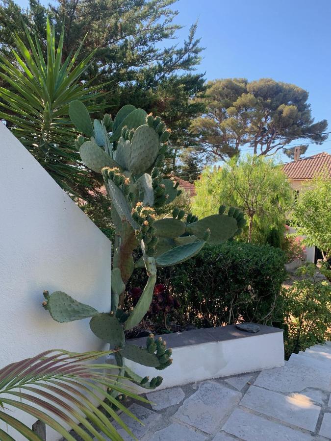 Au pied du Baou avec jardin privé Appartamento Tolone Esterno foto