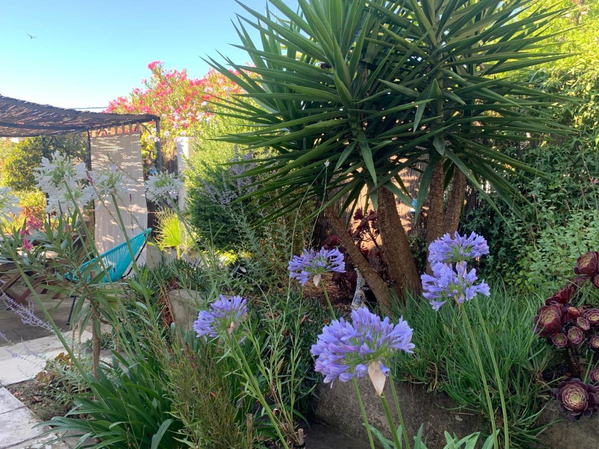 Au pied du Baou avec jardin privé Appartamento Tolone Esterno foto